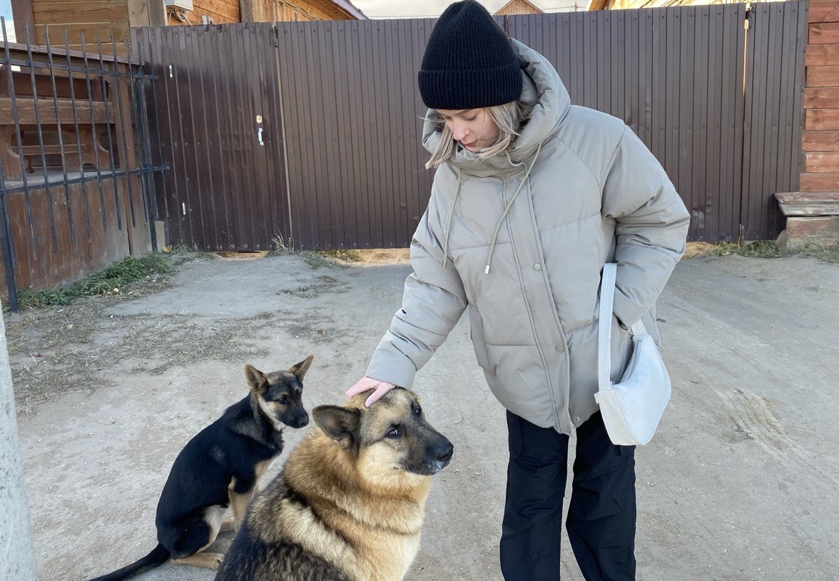 Акция «Добрый след»: помогите бездомным животным 