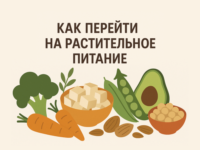 Как перейти на растительное питание: инструкция для начинающих
