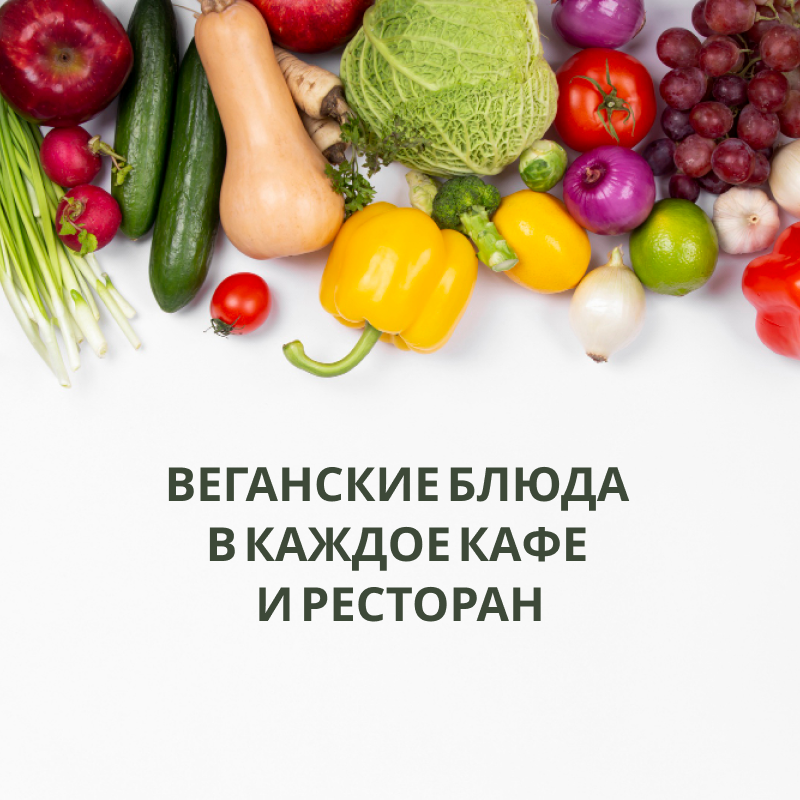 Vegetarian поддержит кафе и рестораны во время поста: проект бесплатно делится техкартами растительных блюд!