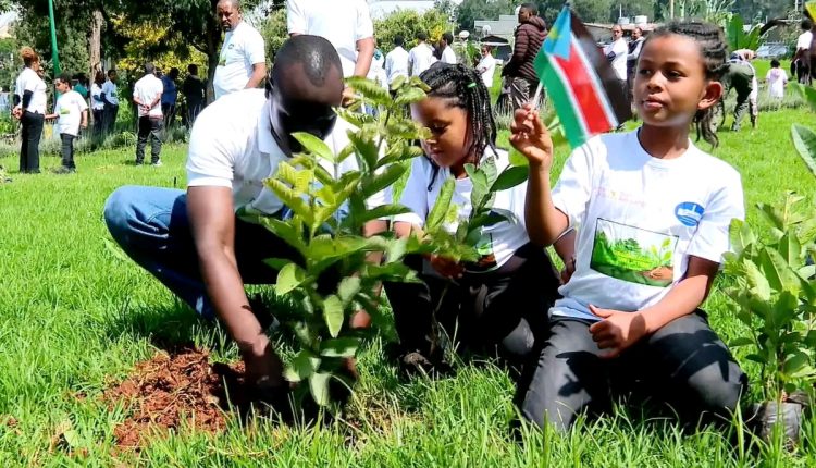 Экологический рекорд: В Эфиопии высадили более 714 миллионов деревьев за один день