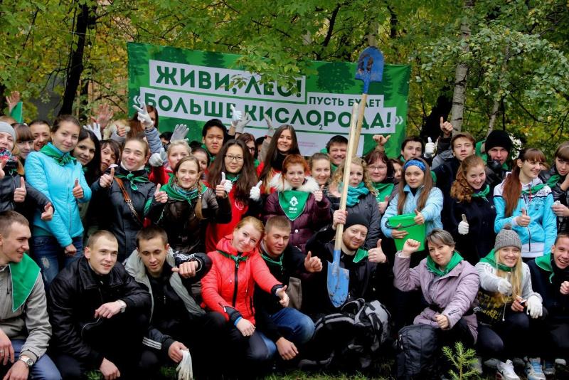 Волонтеров приглашают на посадку деревьев в Ленинградской области