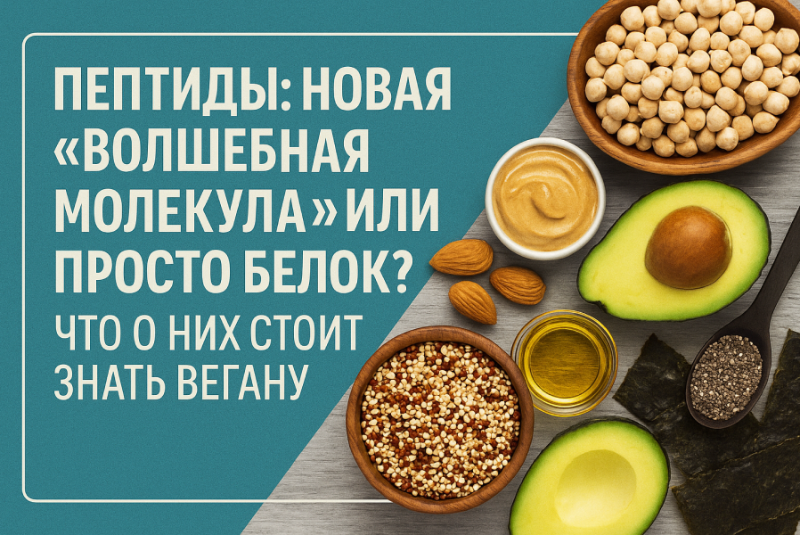 Пептиды: новая «волшебная добавка» или просто белок? Что о них стоит знать вегану