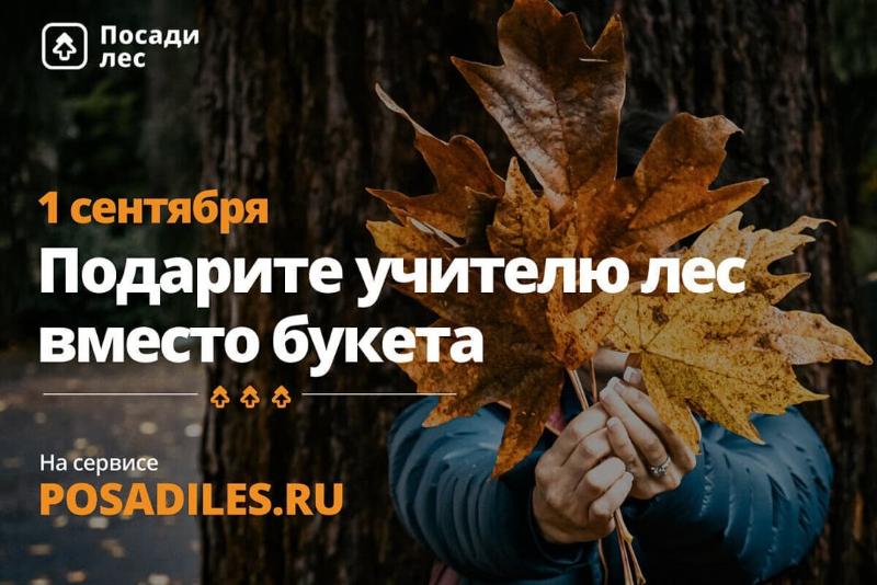 Подарите учителю лес вместо цветов!