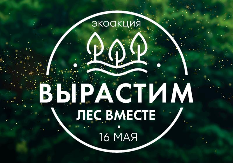 «Вырастим лес вместе!»: посадка деревьев объединит «зеленые» и этичные организации России