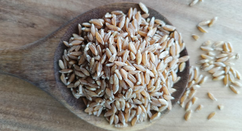 «Предок пшеницы»: польза и возвращение полбы