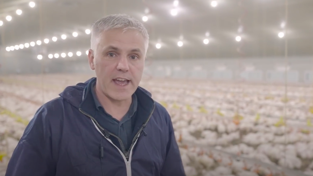 Бренд веганского «куриного мяса» выпустил видео с одной из ферм, работающей с KFC