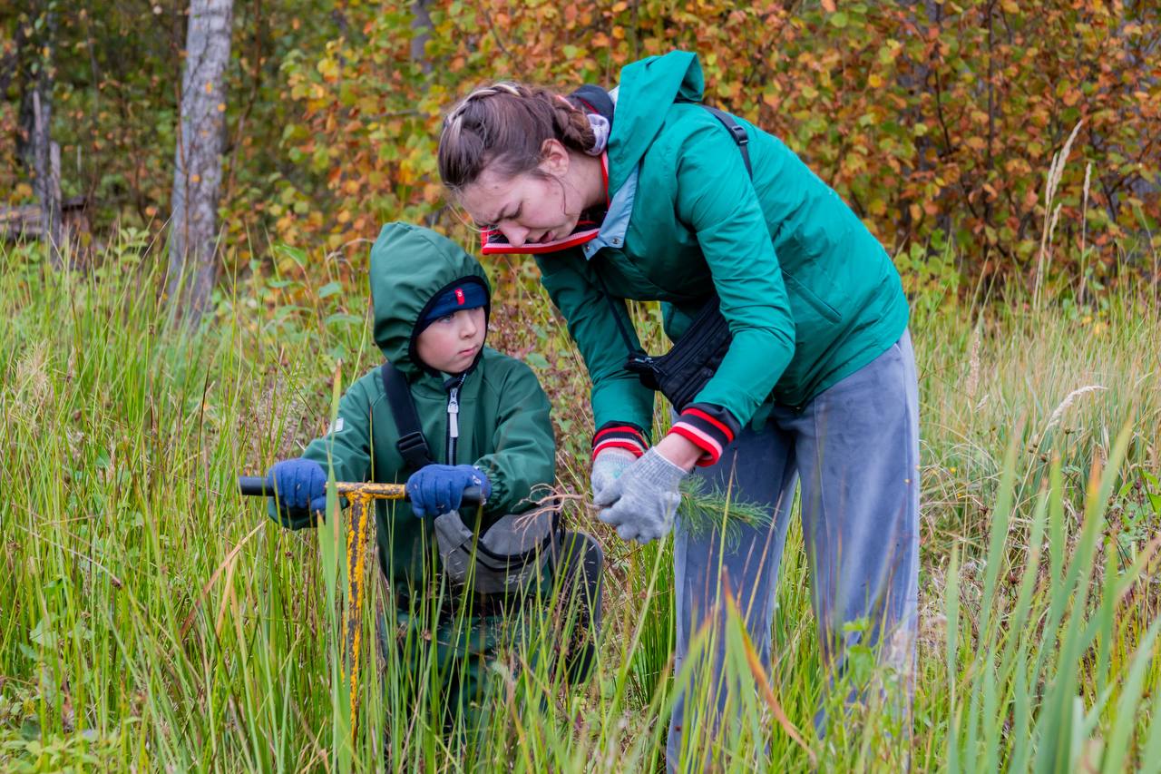 Живой подарок вместо открытки: проект «Посади лес» приглашает дарить деревья на День матери