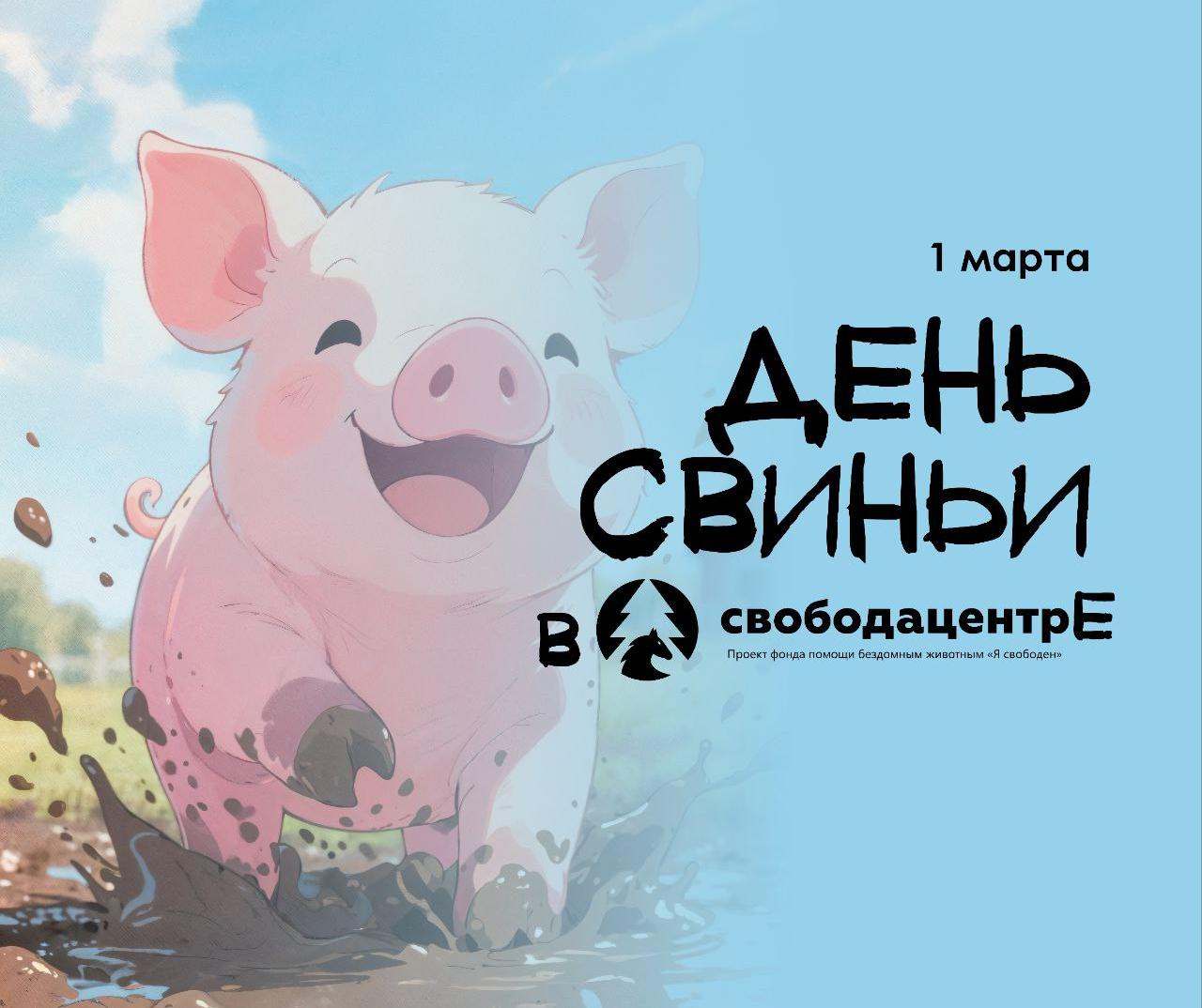 В Ленинградской области пройдёт «День свиньи» — семейный праздник среди спасённых животных