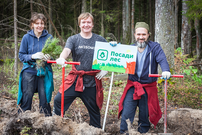 4,5 миллиона новых деревьев: проект «Посади лес» отмечает 10-летний юбилей