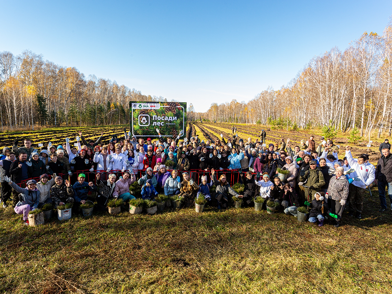 Кто помог вырастить больше всего деревьев? На платформе «Посади лес» появился рейтинг участников