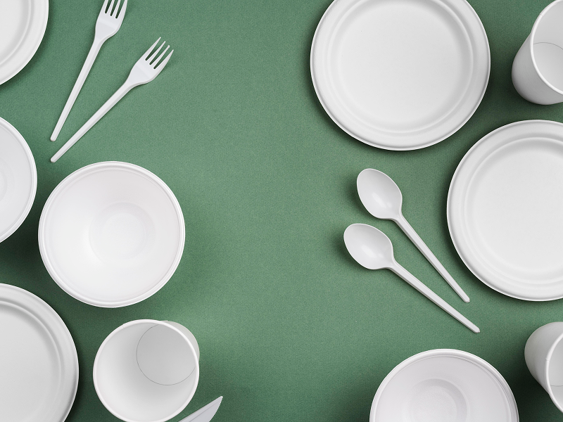 Грузия запретит одноразовую пластиковую посуду с 2026 года