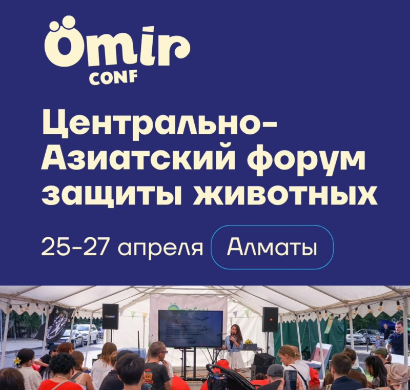 Центрально-Азиатский форум по защите животных ÖMIRCONF 2025 пройдёт в Алматы 