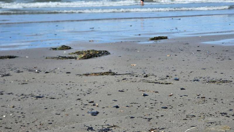 На Черном море снова выбросы мазута — октябрь 2025