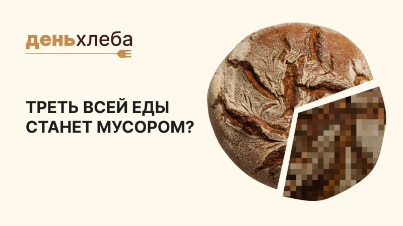 Хлеб и рациональное потребление: почему важно пересмотреть свой подход к продуктам