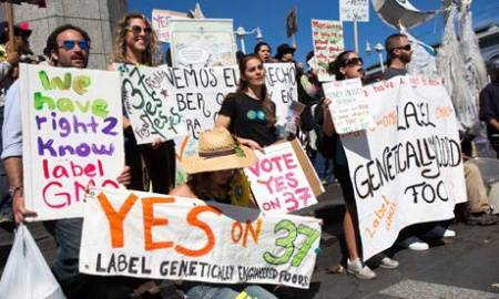 Калифорния готовится к голосованию по "предложению 37", требующему обязательной маркировки ГМО-продуктов