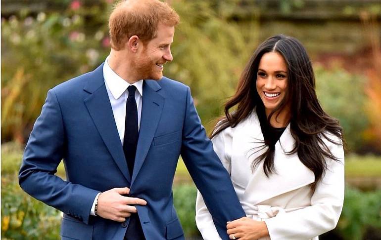 Меган Маркл и принц Гарри взяли себе одного из 4 000 спасенных биглей