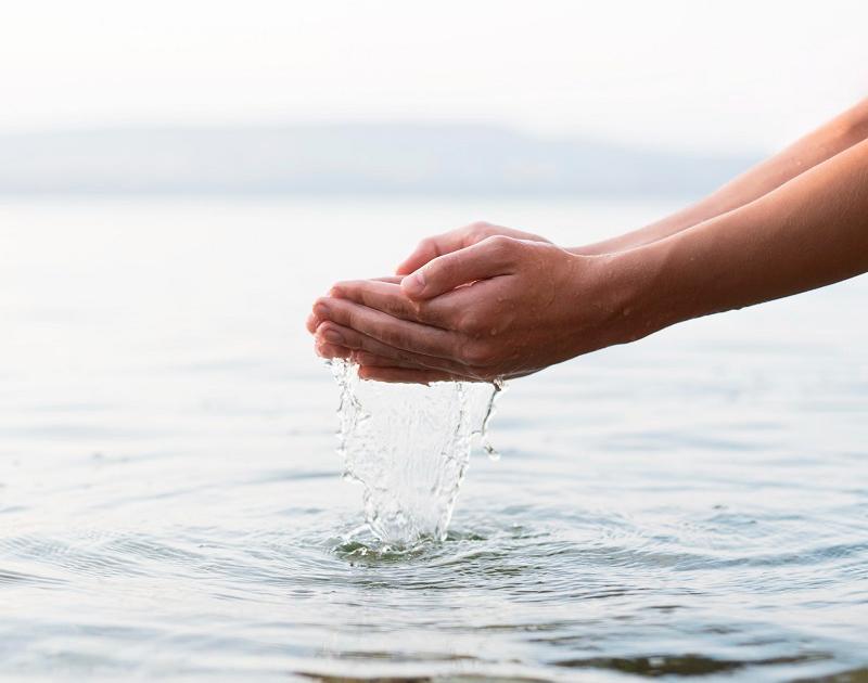 Животноводство и вода: скрытая стоимость стейка