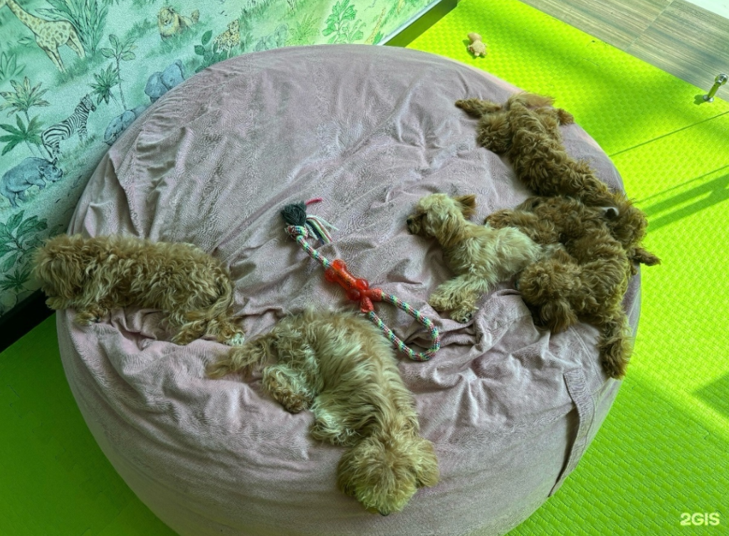 Screenshot 2025-10-20 141813.png