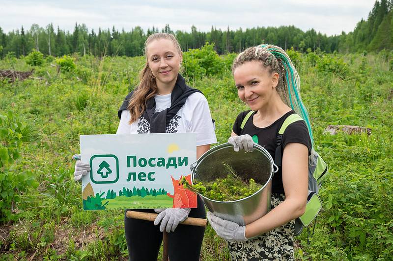 52959702238_6b0c136b59_c.jpeg 52959702238_6b0c136b59_c.jpeg