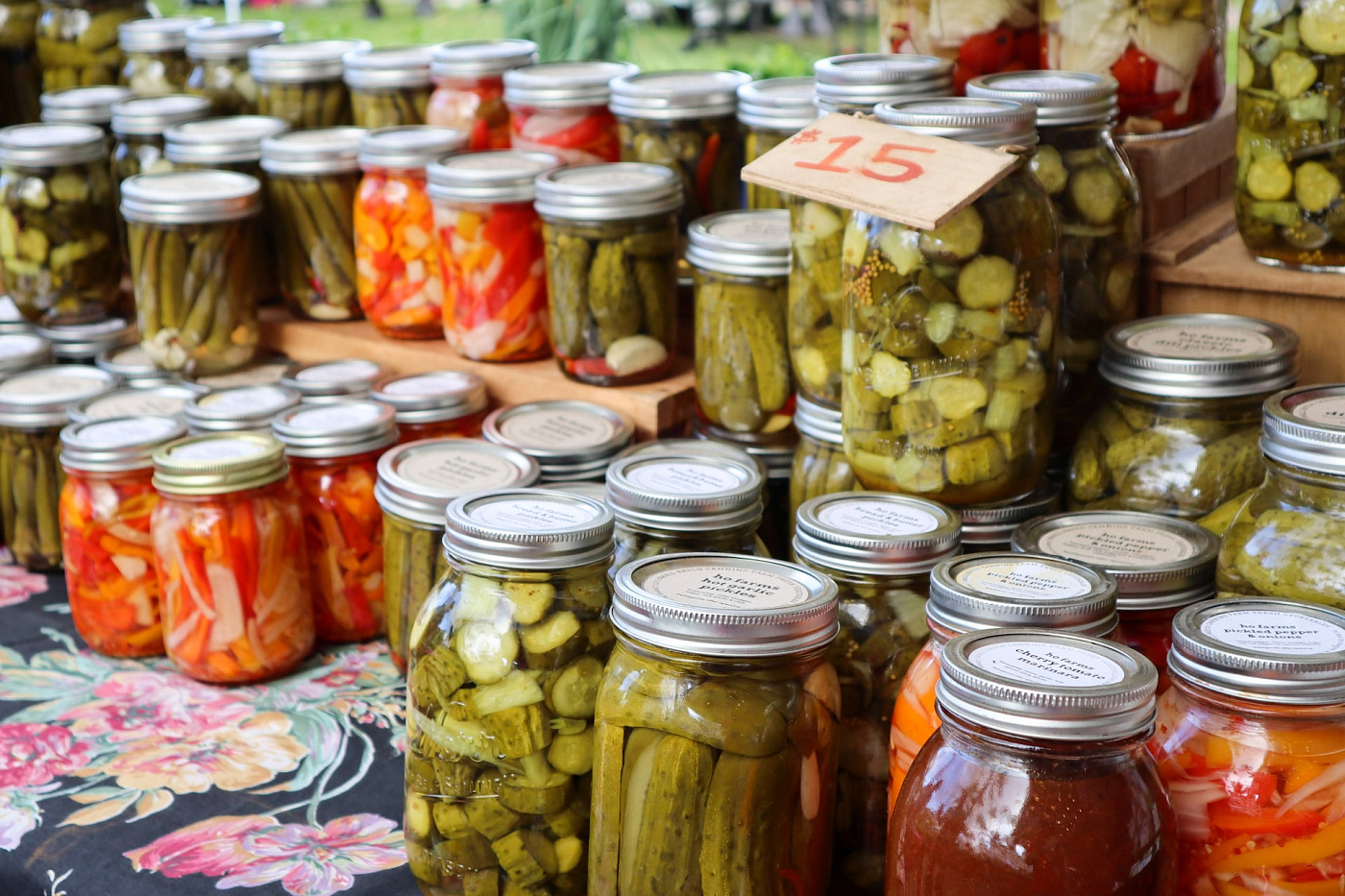 Новое исследование: Как ферментированные продукты поддерживают здоровье кишечника