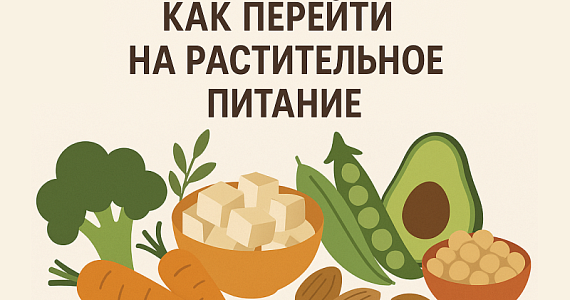 Как перейти на растительное питание: инструкция для начинающих