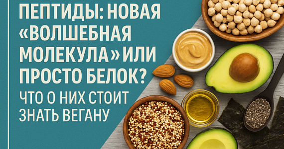 Пептиды: новая «волшебная добавка» или просто белок? Что о них стоит знать вегану
