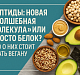 Пептиды: новая «волшебная добавка» или просто белок? Что о них стоит знать вегану