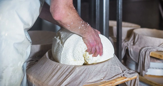 «Прорывное» датское исследование может изменить рынок растительных аналогов сыров