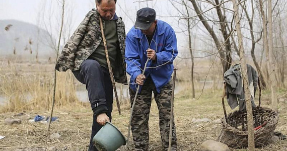 Два друга – один слепой, другой без рук – восстановили лес в Китае