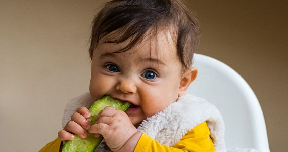 «Мясная диета» для младенцев: чем опасен новый тренд