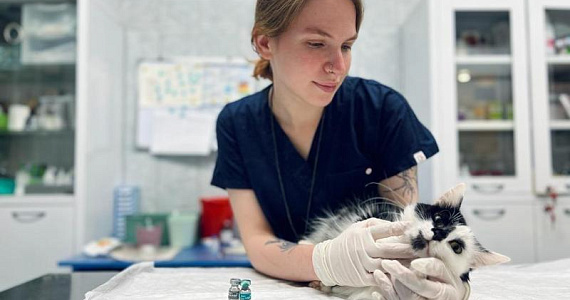 «Преданное сердце» готовит ветеринаров и открывает центр помощи животным