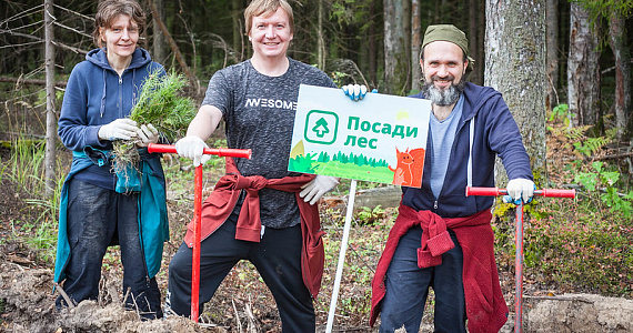 4,5 миллиона новых деревьев: проект «Посади лес» отмечает 10-летний юбилей
