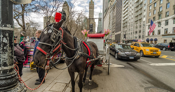Мэр Нью-Йорка Эрик Адамс призывает запретить конные экипажи