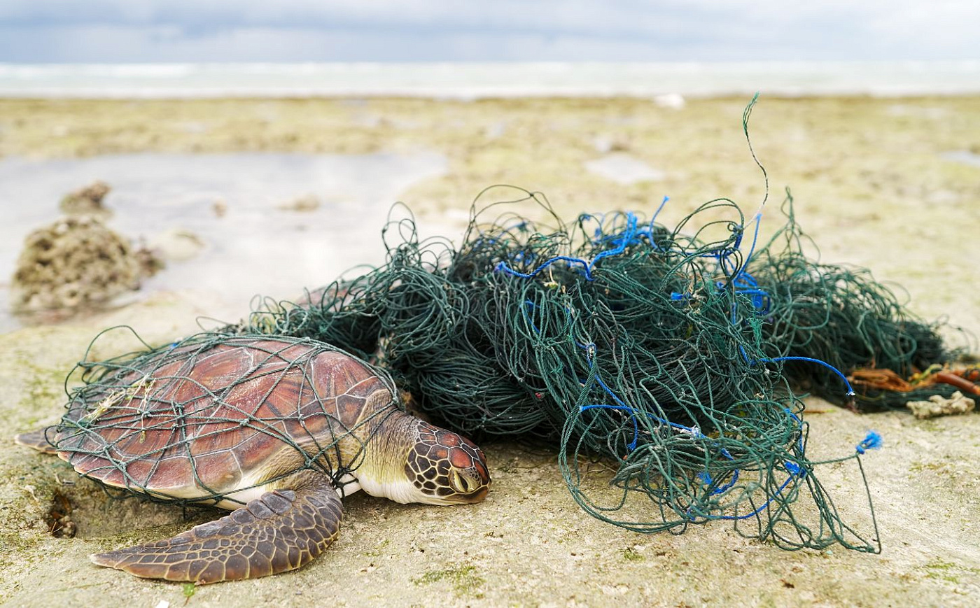 Правительство Великобритании отказалось запретить донное траление спустя четыре месяца после обещания сделать это