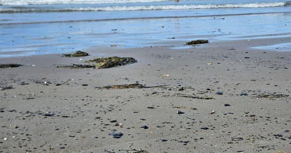 На Черном море снова выбросы мазута — октябрь 2025