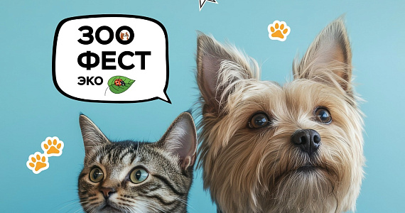 Выставка-пристройство кошек и собак из приютов «ЗООФЕСТ ЭКО» пройдёт 18 октября в Москве