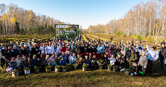 Кто помог вырастить больше всего деревьев? На платформе «Посади лес» появился рейтинг участников
