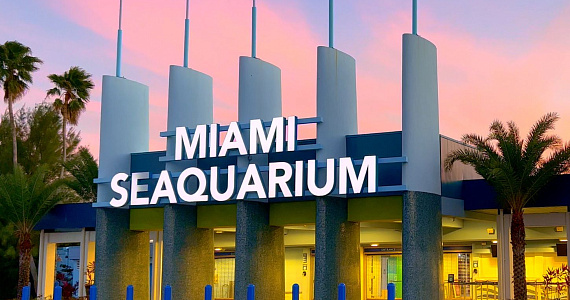 Скандальный Океанариум Майами закрылся навсегда