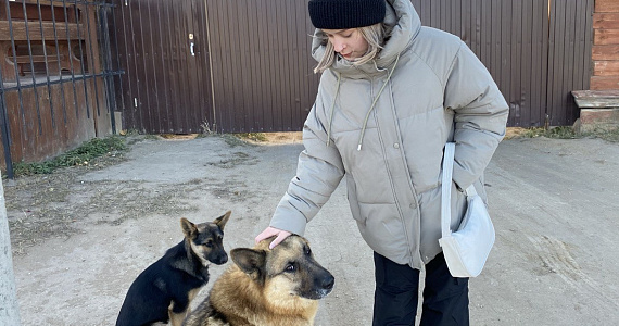 Акция «Добрый след»: помогите бездомным животным 