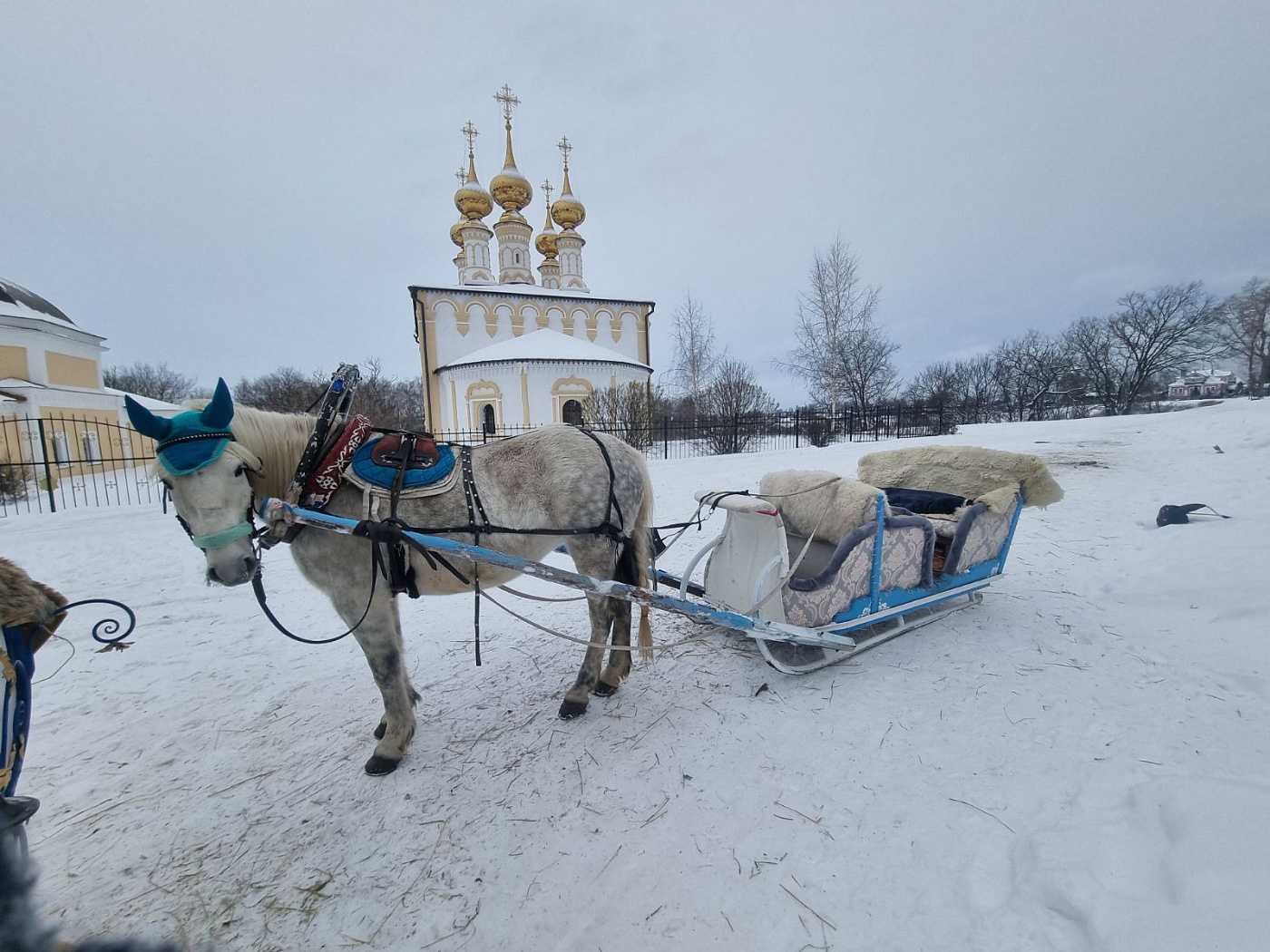 Катание на конных повозках могут запретить в Суздале