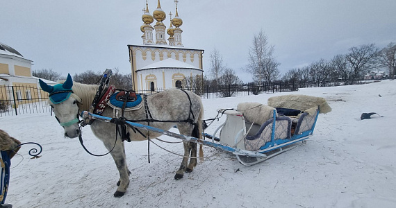 Катание на конных повозках могут запретить в Суздале