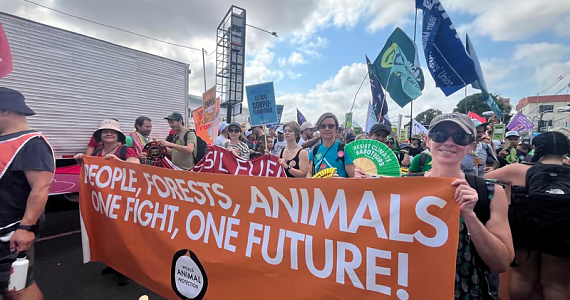 COP30: в Бразии прошёл массовый Марш народов против промышленного животноводства 