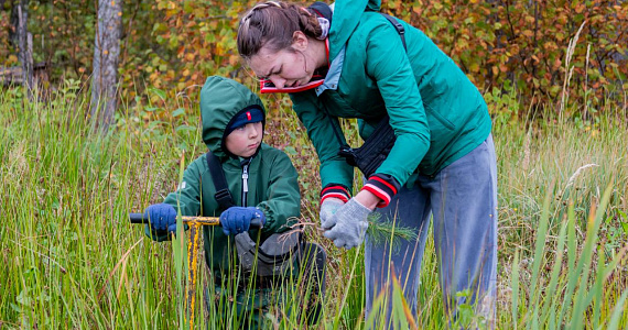 Живой подарок вместо открытки: проект «Посади лес» приглашает дарить деревья на День матери