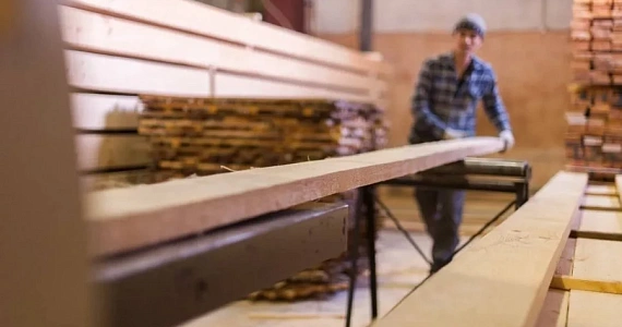 В России научились превращать древесные отходы в полезные химические вещества