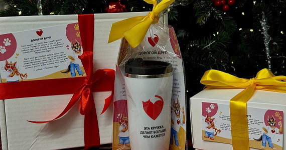 МЕРЧ С СЕРДЦЕМ: «Преданное сердце» и WYNGIFTS объединили усилия ради пушистых друзей!