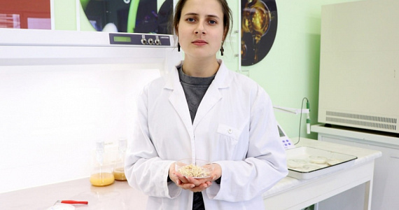 В Омске создали веганские снеки из микопротеина вешенки